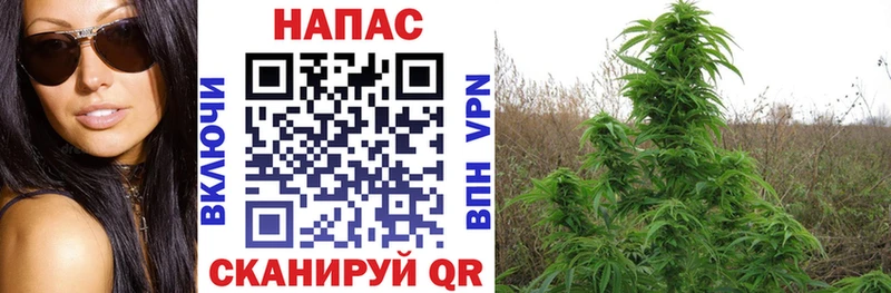 Что такое Калач Галлюциногенные грибы  Cocaine  Амфетамин 