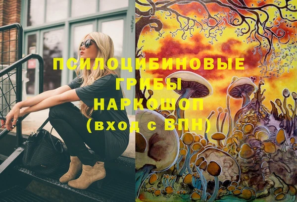 гашик Белая Холуница