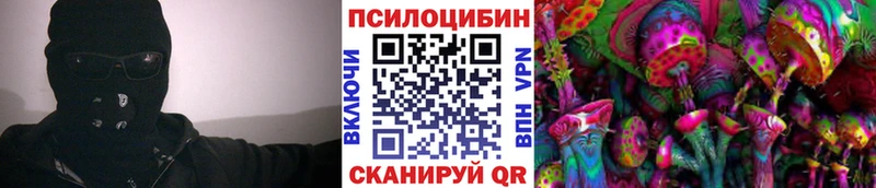 сколько стоит  Калач  Галлюциногенные грибы мицелий 
